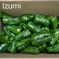 物価高騰、時短に一役！B規格 2L  4Kg 4.0Kg 野菜/ピーマン通販