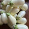 夏野菜パラダイス！ナスフェア開催中！ナスづくしのセット！ 5キロ 野菜/茄子通販