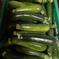 【訳あり】ズッキーニ　群馬県東吾妻町産　13kg ズッキーニ　13kg 野菜/ズッキーニ通販