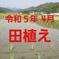 令和5年産 高知県産 新米コシヒカリ 飼料用(くず米)玄米25㎏(袋込み) ２５㎏ 米・穀物/雑穀 通販