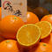 【愛媛県限定栽培】太陽と海のまどんな🍊（2.5k×2） 2.5k×2 果物/オレンジ・その他みかん通販