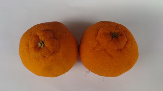 味に自信あり 5k（箱込み）×2箱 10k（箱込み） 愛媛のまどんな ゼリー