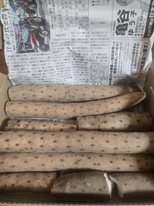 家庭用】ねばりっこ とりたて 10kg程度 長芋 とろろ ねばり 山芋 バラ