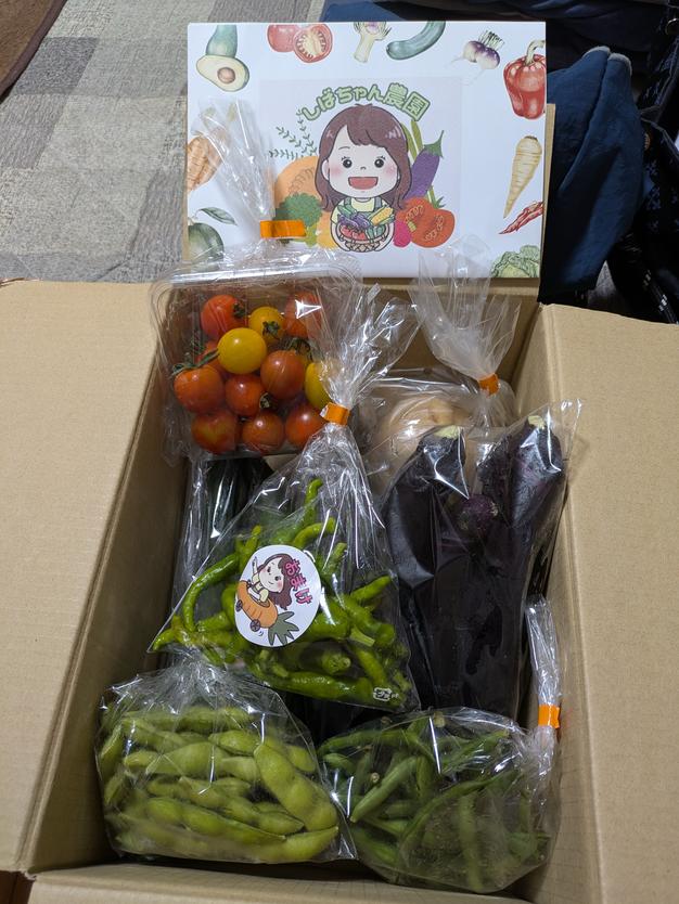 夏野菜3種類セット ｜ 野菜/野菜セット・詰め合わせ 産直アウル 農家