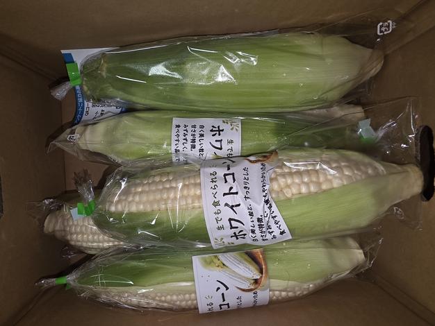 キヌヒカリ玄米10kg橙心🌾令和6年度産新米🌾淡路島からの新米