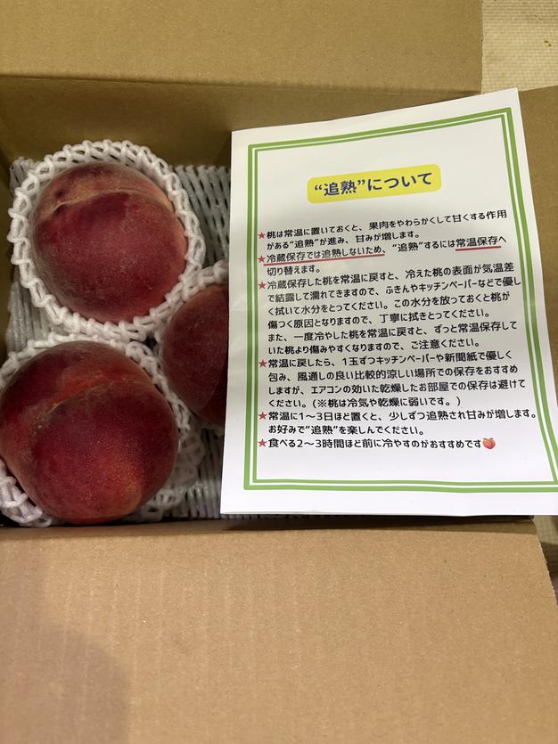 限定20】山梨県産 日川白鳳 家庭用 3キロ箱使用 ｜ 果物/もも 産直