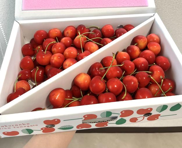 贈答用】山形県産紅秀峰1kg、2L以上 ｜ 果物/さくらんぼ 産直アウル