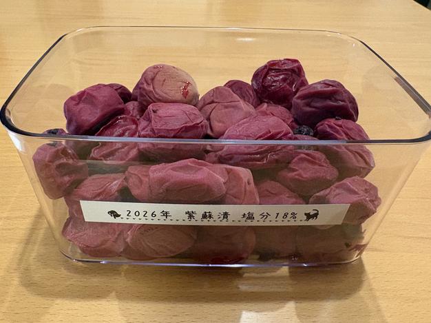 送料500円引き！ 梅酒・梅シロップに最適！ 和歌山県産希少品種 古城梅