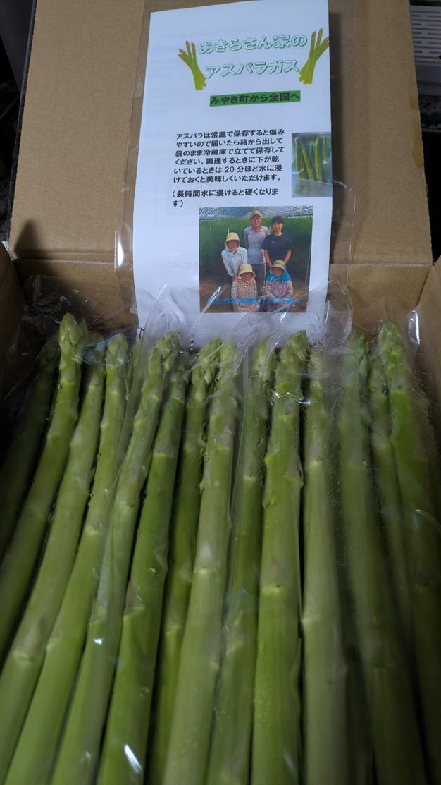 あきらさん家のアスパラガス 夏芽 秀品1kg ｜ 野菜/アスパラガス 産直