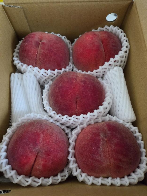旬祭限定】クール便 山梨県産 品種おまかせ 家庭用 2キロ箱使用(正味