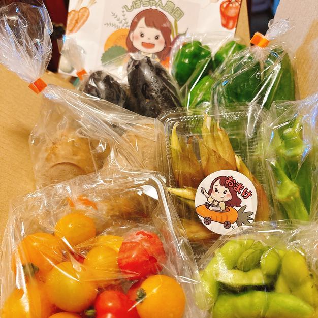 旬祭限定】旬のたっぷり夏野菜セット ｜ 野菜/野菜セット・詰め合わせ