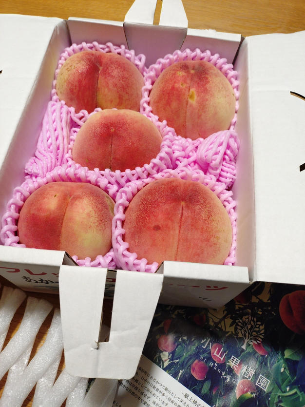 家庭用（訳あり品）桃3kg【数量限定】農家から朝採り直送便 ｜ 果物