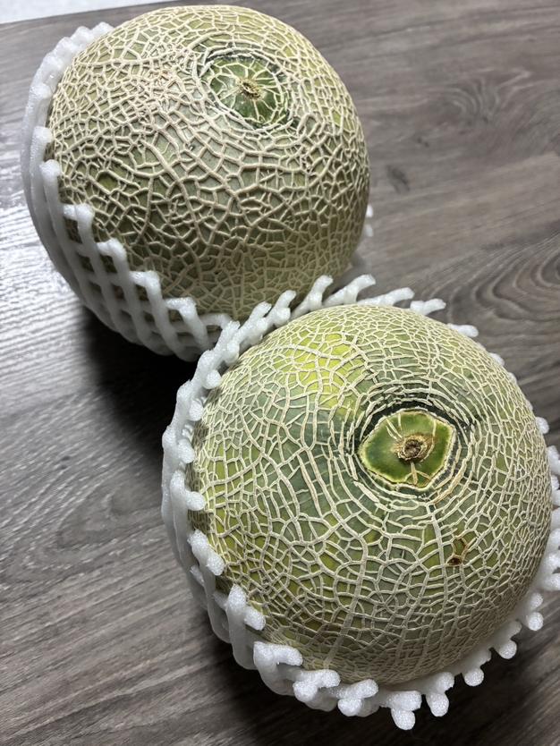 B品】ルピアレッド 6L2玉 ｜ 果物/メロン 産直アウル 農家・漁師など