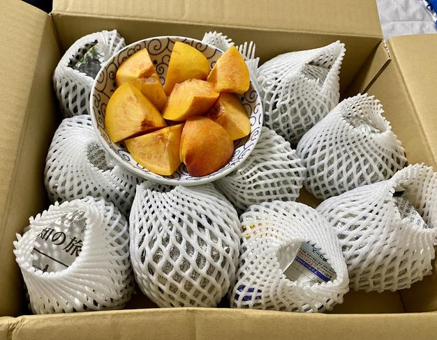 12 早生ワッサー家庭用10キロ 食品 ②早生ワッサー家庭用10キロ