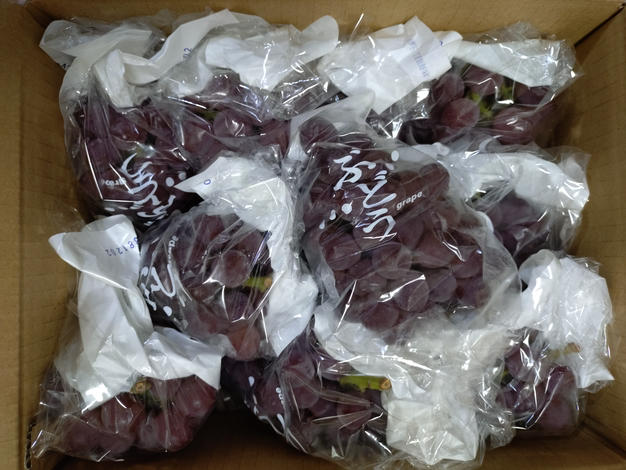 キングデラウェア 2kg ｜ 果物/ぶどう 産直アウル 農家・漁師など生産