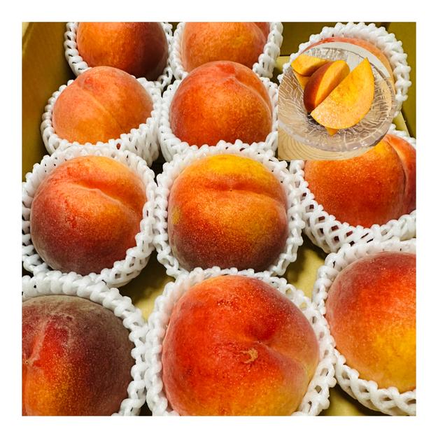 食品 67 早生ワッサー小玉9キロ