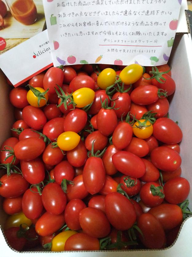 ミニトマトアイコ2キロ箱詰 ｜ 野菜/トマト 産直アウル 農家・漁師など