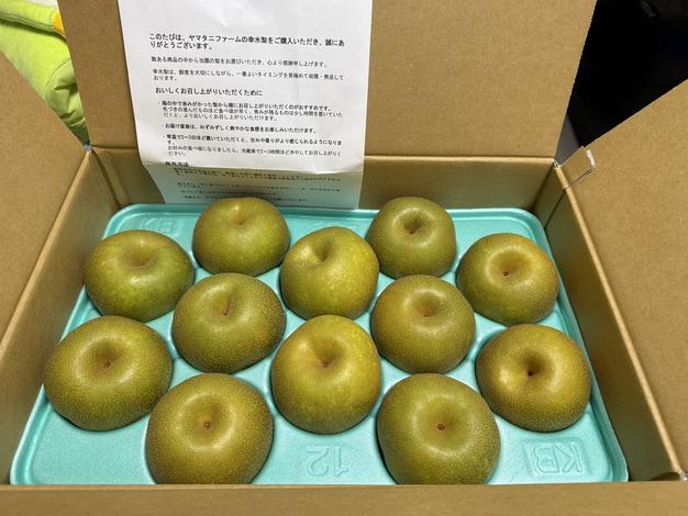 梨 幸水10kg ｜ 果物/梨 産直アウル 農家・漁師など生産者から直接野菜
