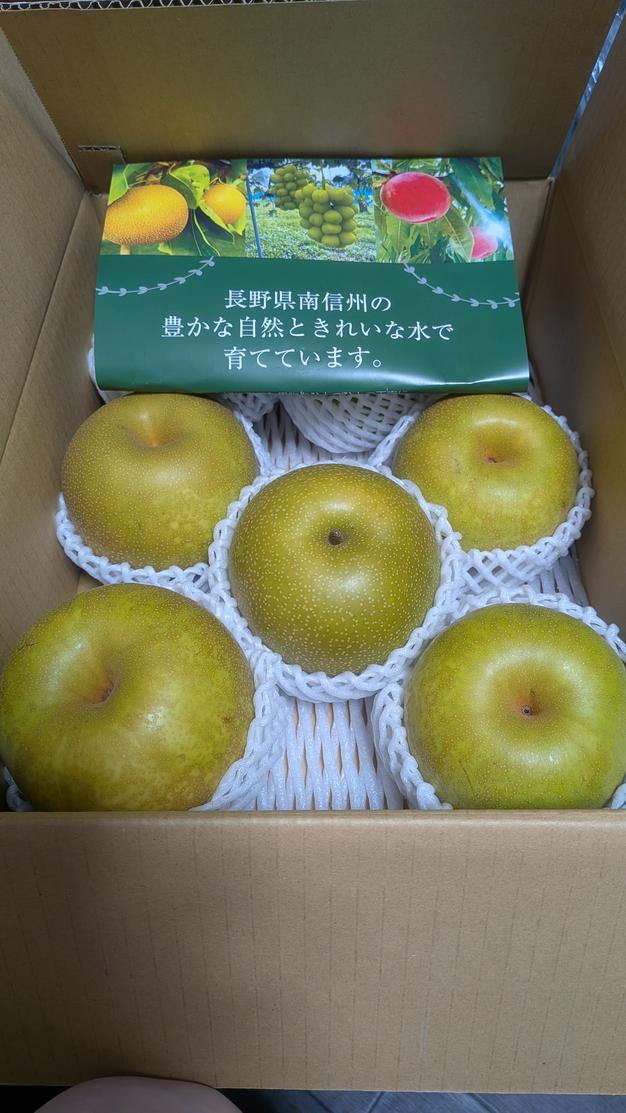 豊水梨 約3kg 長野県南信州産 ｜ 果物/梨 産直アウル 農家・漁師など