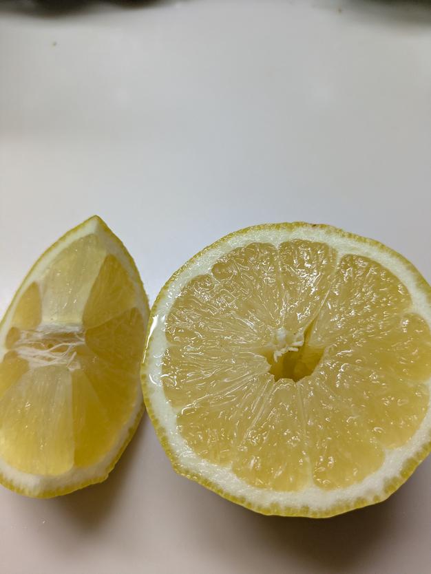 島レモン（1kg）（栽培期間中農薬、化学肥料不使用） ｜ 果物/香酸柑橘