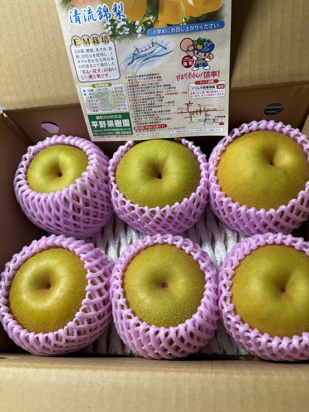 清流球磨梨・幸水 3kg箱(3〜7個入り) ｜ 果物/梨 産直アウル 農家