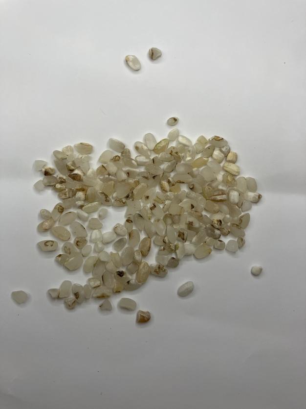 令和6年度産 徳島県産 玄米 虹のきらめき ｜ 米・穀物/玄米 産直アウル