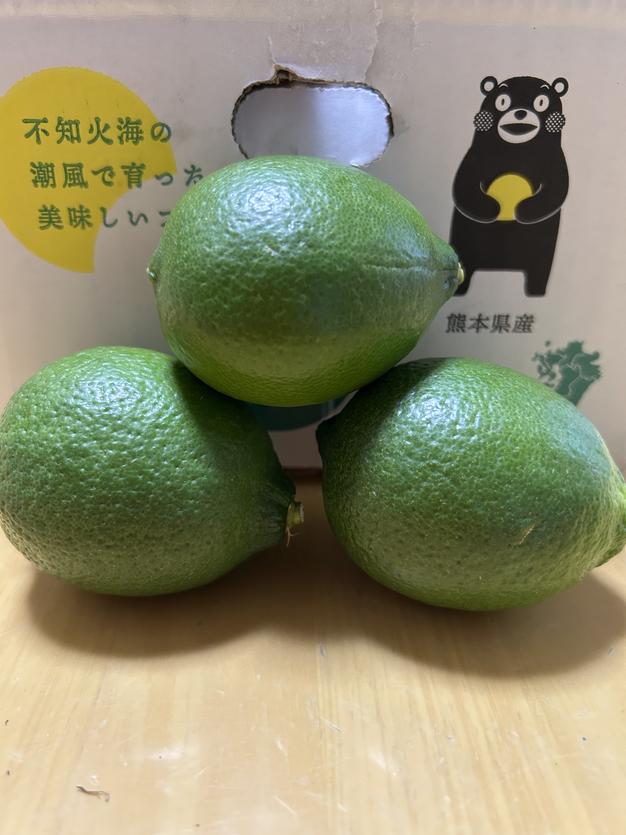旬祭限定】完熟マンゴー 2L 6パック ｜ 果物/マンゴー 産直アウル