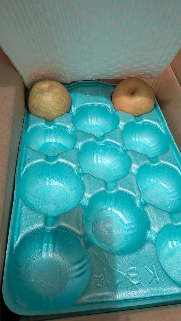 梨 幸水 良品 約10kg 長野県産 ｜ 果物/梨 産直アウル 農家・漁師など