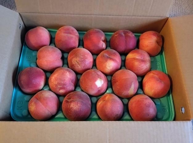 超訳あり桃 5kg ｜ 果物/もも 産直アウル 農家・漁師など生産者から