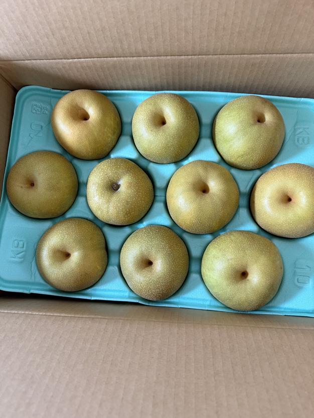梨 幸水 良品 約10kg 長野県産 ｜ 果物/梨 産直アウル 農家・漁師など