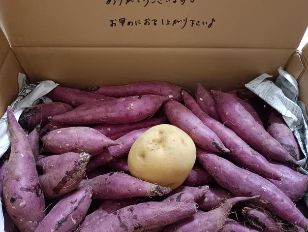 お徳用」茨城県行方市特産 さつまいも(紅はるか)5キロ ｜ 野菜