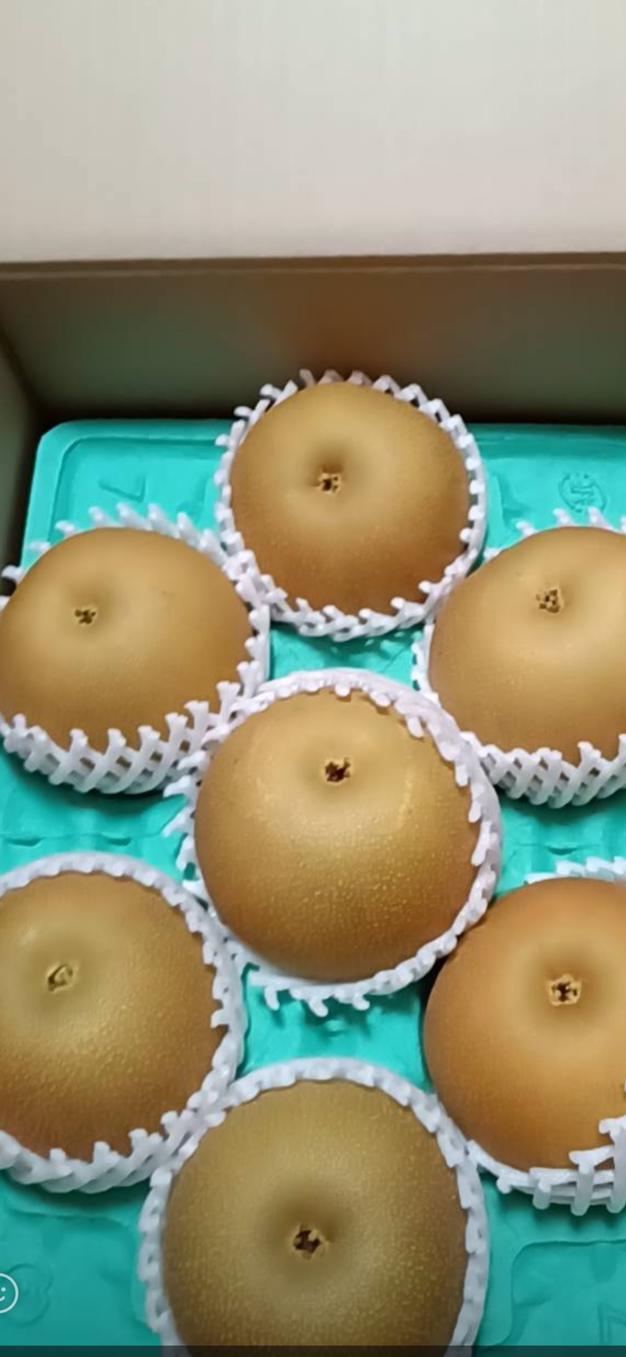 果汁たっぷり豊水梨 5k箱 13〜14玉 ｜ 果物/梨 産直アウル 農家・漁師