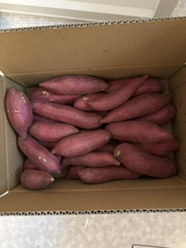 しっとり系【 サイズ混合(S〜L) あまはづき 】千葉県産 さつまいも 5kg