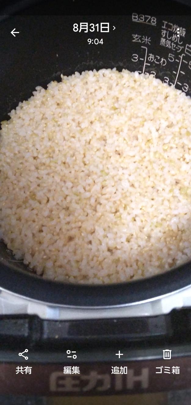 令和8年新米】コシヒカリ 30kg 玄米 豊かな甘みと強い粘りのある