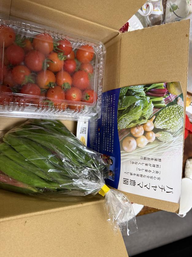 香りが違う！採れたて新鮮パクチー1kg｜エスニック料理に