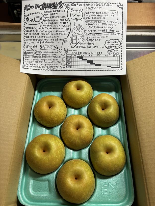梨 幸水 良品 約3kg 長野県産 ｜ 果物/梨 産直アウル 農家・漁師など