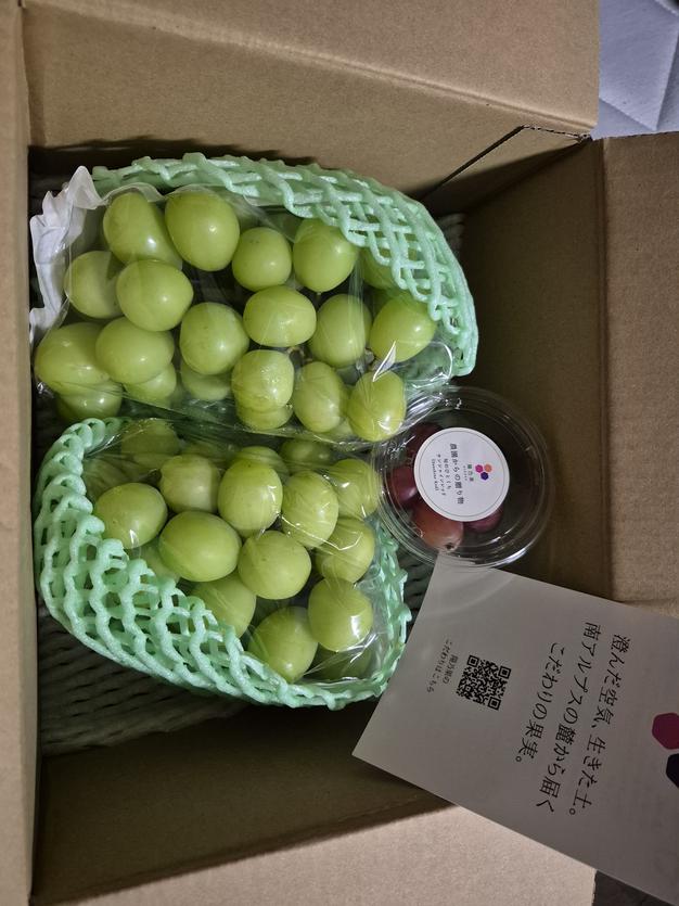 限定】希少品種食べ比べ 約2kg (サンシャインレッド2房+シャイン