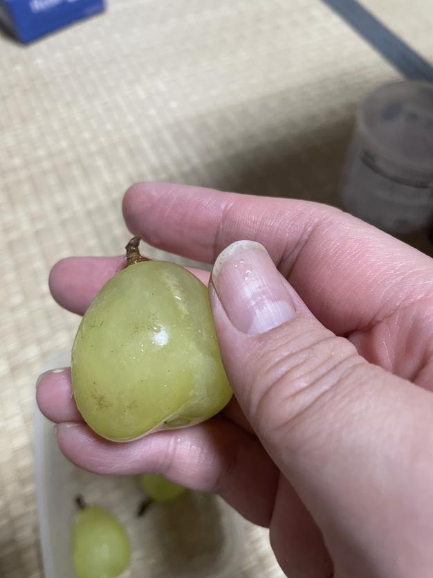 家庭用】果汁たっぷり あづましずく1kg2~3房 ｜ 果物/ぶどう 産直