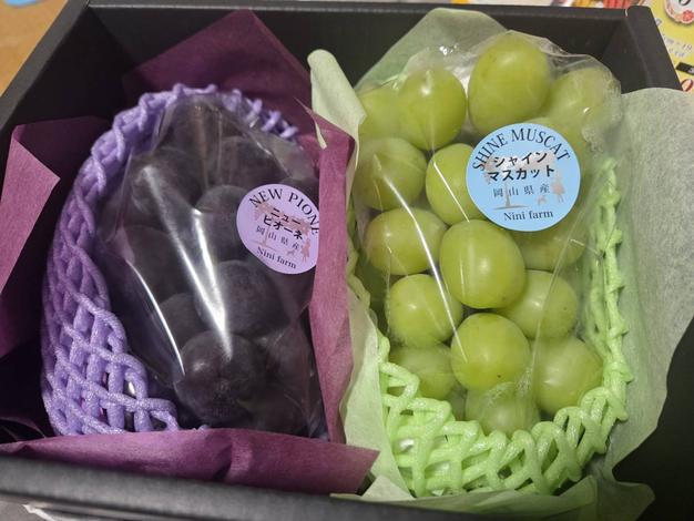 こだわりの厳選葡萄】希少品種クイーンニーナ&シャインマスカット(約