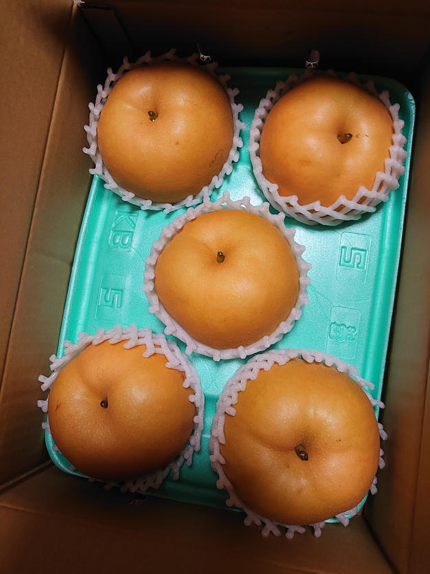 新人賞】家庭用 梨 南水 5kg 長野県産 ｜ 果物/梨 産直アウル 農家