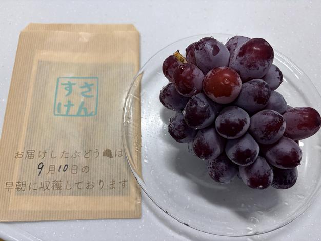 家庭用】クイーンルージュ・1kg・2~3房 ｜ 果物/ぶどう 産直アウル