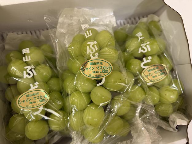 【朝採り当日発送】岡山産シャインマスカット2kg大房3房 産地直送 家庭用② 大玉2kg・3房】岡山県産シャインマスカット 家庭用 朝採り翌日発送