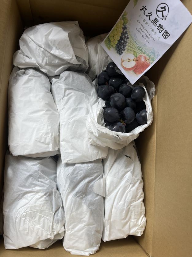 信州産巨峰（種あり）信州産巨峰4kg（10房前後） ｜ 果物/ぶどう 産直