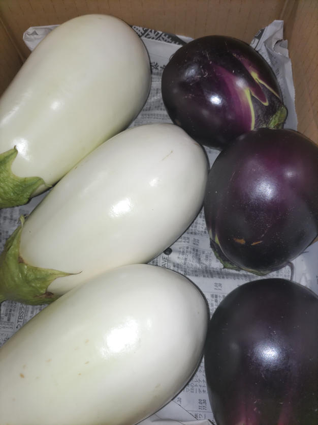 わたあめとうもろこし( ´ ▽ ` ) 6本 ｜ 野菜/とうもろこし 産直アウル