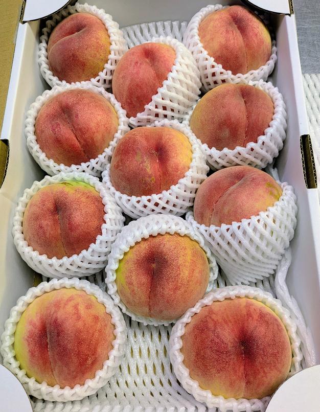 朝採り直送 あかつき 家庭用 5キロ ｜ 果物/もも 産直アウル 農家