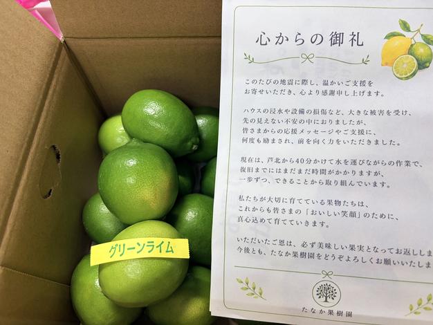 生ライチ 新品種 2パック ｜ 果物/その他果物 産直アウル 農家・漁師