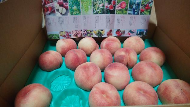 桃「さくら」 家庭用5kg ｜ 果物/もも 産直アウル 農家・漁師など生産