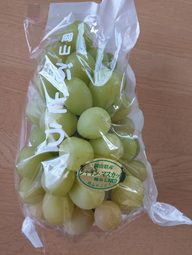 送料無料・朝採り・翌日発送】岡山県産 家庭用 シャインマスカット 2kg