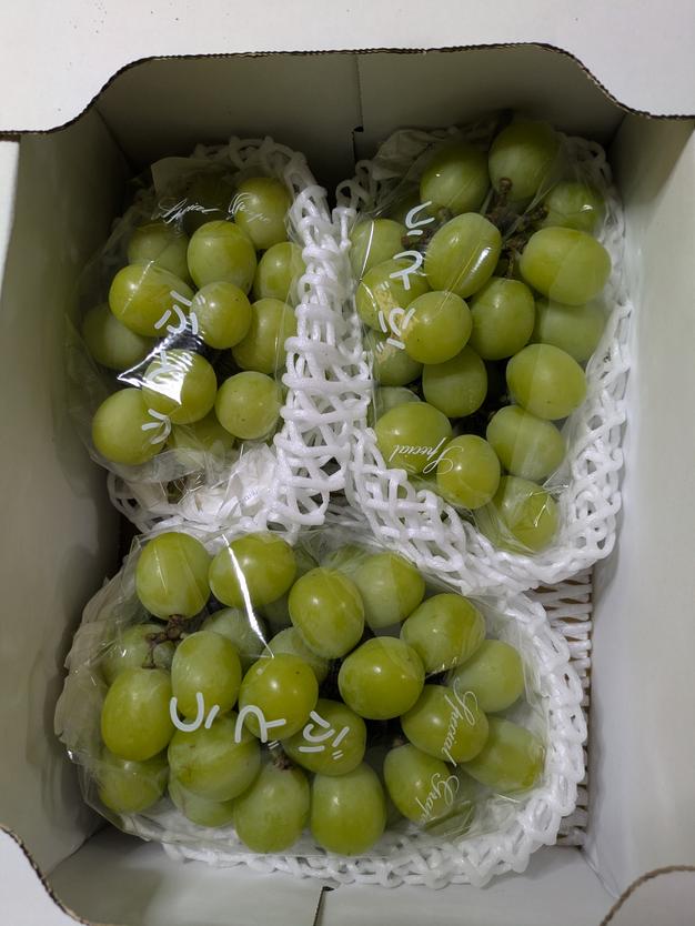 岡山シャインマスカット＋マイハート2房超贅沢の甘絶品希少品種食べ比べお礼品贈答用 大切な人へギフト 岡山産シャインマスカット二房セット ｜ 果物/ぶどう