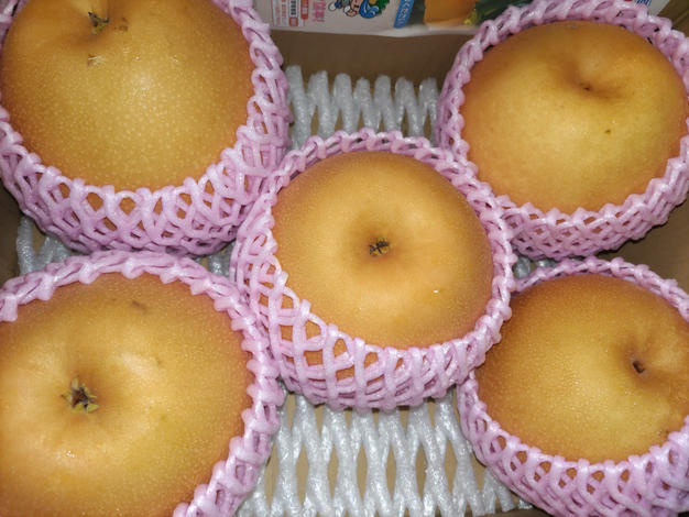 最近販売・秋麗 約10Kg【5kg箱(5〜14個入り)を2箱重ねてお届け